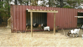 16. Shipping Container Goat Barn
