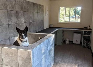 33. Shipping Container Startup Ideas